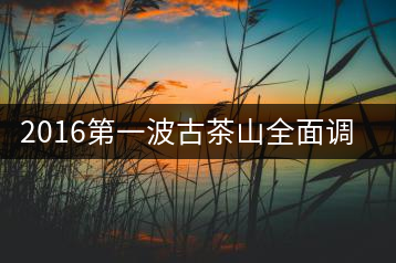 2016第一波古茶山全面調(diào)研第四站——臨滄·大雪山、小戶賽