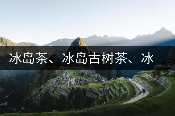 冰島茶、冰島古樹茶、冰島茶區(qū)茶、冰島茶區(qū)古樹茶