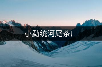 小勐統(tǒng)河尾茶廠(chǎng)