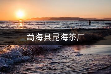 勐?？h昆海茶廠