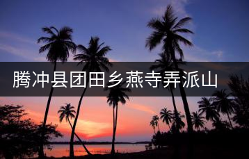 騰沖縣團田鄉(xiāng)燕寺弄派山茶廠