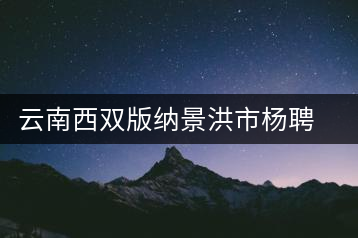 云南西雙版納景洪市楊聘號茶葉有限公司