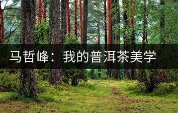 馬哲峰：我的普洱茶美學(xué)主義