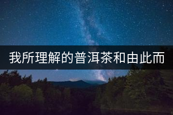 我所理解的普洱茶和由此而去的人生（2）