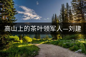 高山上的茶葉領(lǐng)軍人—?jiǎng)⒔ù? decoding=