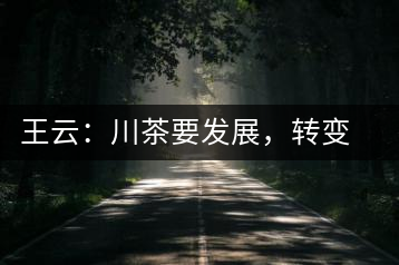 王云：川茶要發(fā)展，轉(zhuǎn)變思想是關(guān)鍵