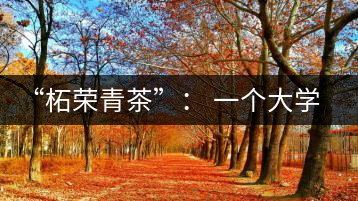 “柘榮青茶”： 一個大學(xué)生的創(chuàng)業(yè)夢想