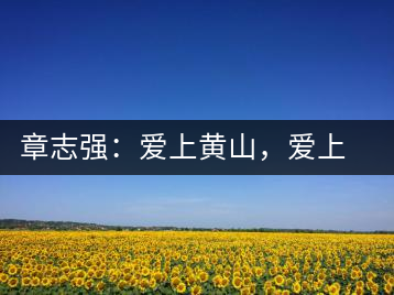 章志強(qiáng)：愛上黃山，愛上黃山的茶