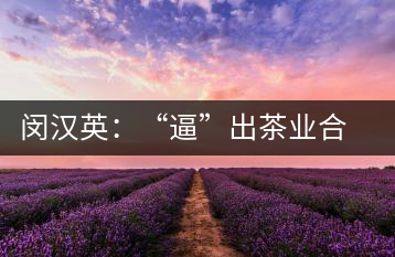 閔漢英：“逼”出茶業(yè)合作社，帶領(lǐng)村民走上致富路