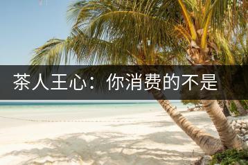 茶人王心：你消費(fèi)的不是茶，是我