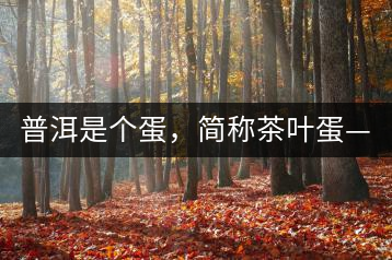 普洱是個(gè)蛋，簡(jiǎn)稱茶葉蛋——楊鎮(zhèn)瑜訪談錄
