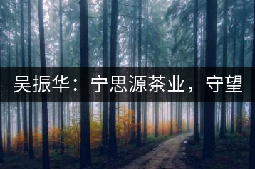 吳振華：寧思源茶業(yè)，守望家鄉(xiāng) 做好“金獎茶王”