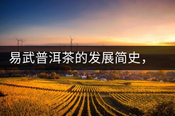 易武普洱茶的發(fā)展簡史，昔日的貢茶如今依然輝煌