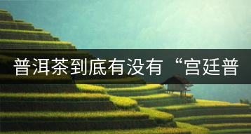 普洱茶到底有沒有“宮廷普洱”一說？它到底是什么？