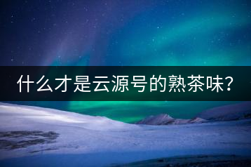 什么才是云源號(hào)的熟茶味？
