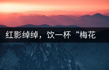 紅影綽綽，飲一杯“梅花”醉