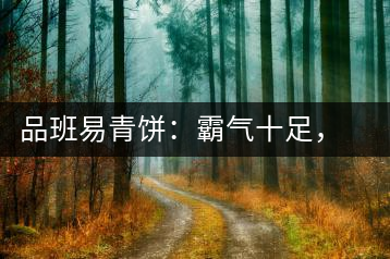 品班易青餅：霸氣十足，母儀天下