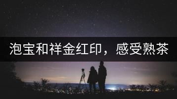 泡寶和祥金紅印，感受熟茶之美。