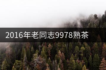 2016年老同志9978熟茶專業(yè)品評(píng)