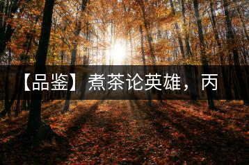 【品鑒】煮茶論英雄，丙申年易武麻黑