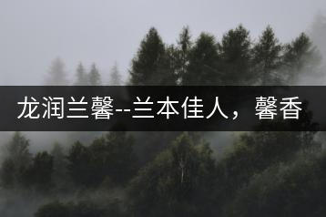 龍潤蘭馨–蘭本佳人，馨香高雅