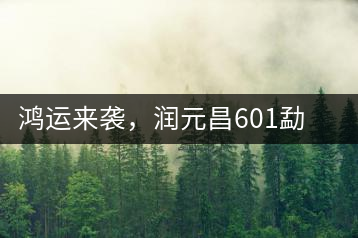 鴻運(yùn)來(lái)襲，潤(rùn)元昌601勐海紅韻熟茶即將上市