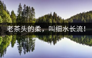 老茶頭的柔，叫細(xì)水長流！