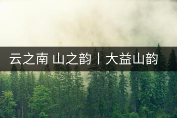 云之南 山之韻丨大益山韻，“韻”味傳奇之山韻歸來