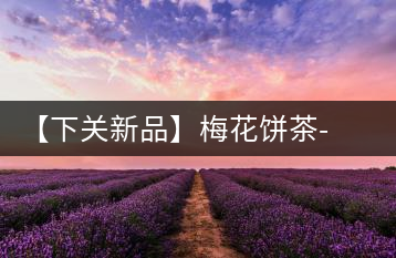 【下關(guān)新品】梅花餅茶-胭脂點(diǎn)春暗香來