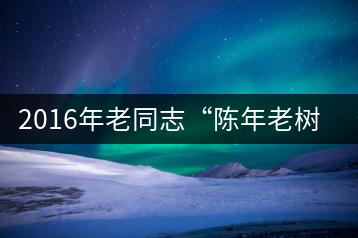 2016年老同志“陳年老樹◎珍品普洱”隆重上市！