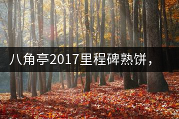 八角亭2017里程碑熟餅，自先發(fā)酵而后愛人