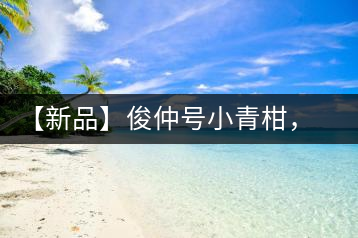 【新品】俊仲號(hào)小青柑，青果來(lái)傾城
