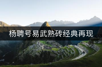 楊聘號易武熟磚經(jīng)典再現(xiàn)