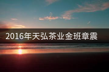 2016年天弘茶業(yè)金班章震撼上市！