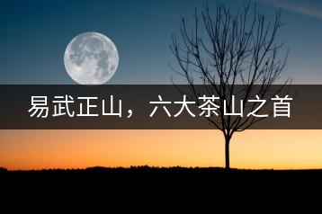 易武正山，六大茶山之首