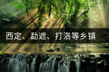 西定、勐遮、打洛等鄉(xiāng)鎮(zhèn)古茶樹資源
