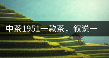 中茶1951一款茶，敘說一次人生