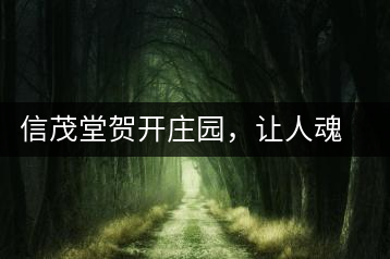 信茂堂賀開(kāi)莊園，讓人魂?duì)繅?mèng)繞的名山古樹(shù)茶