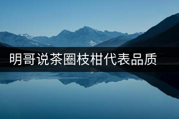 明哥說茶圈枝柑代表品質(zhì)高點，是玩家級的產(chǎn)品