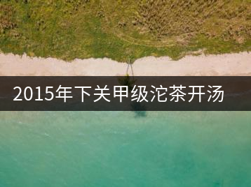2015年下關甲級沱茶開湯品鑒