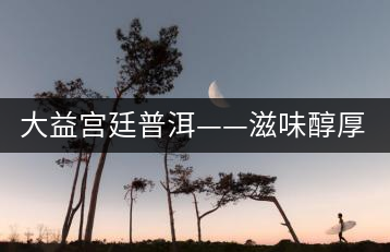 大益宮廷普洱——滋味醇厚，陳香濃郁