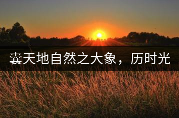 囊天地自然之大象，歷時光十載流轉(zhuǎn)-皇茶一號