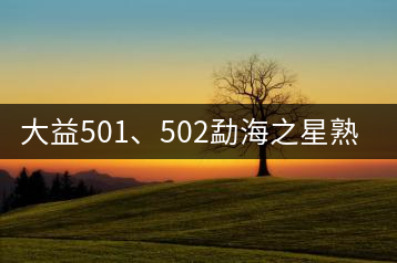 大益501、502勐海之星熟茶