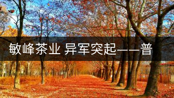 敏峰茶業(yè) 異軍突起——普洱敏峰茶業(yè)有限公司紀(jì)實