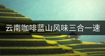 云南咖啡藍(lán)山風(fēng)味三合一速溶咖啡粉袋裝 黑咖啡 提神學(xué)生40條普洱