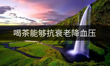 喝茶能夠抗衰老降血壓