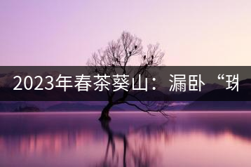 2023年春茶葵山：漏臥“珠江紅：1200元-3200元（有3個(gè)檔次）漏臥“大廠茶”：古樹(shù)單株8600-9000元／公斤，中樹(shù)4800-5200元／公斤，小樹(shù)混采2600-2800元／公斤。