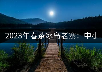 2023年春茶冰島老寨：中小樹混采2500-3000元／公斤，大樹：7000-8000元／公斤，古樹混采：28000-36000元／公斤