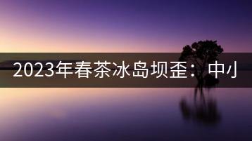 2023年春茶冰島壩歪：中小樹(shù)800元／公斤，古樹(shù)1400-1600元／公斤