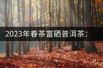 2023年春茶富硒普洱茶：1.富硒有機(jī)手工生普，市場(chǎng)指導(dǎo)價(jià)800元／公斤；2.富硒有機(jī)一級(jí)紅茶，市場(chǎng)指導(dǎo)價(jià)800元／公斤；3.富硒有機(jī)熟普餅，市場(chǎng)指導(dǎo)價(jià)1000元／公斤；4.富硒有機(jī)月光白茶，市場(chǎng)指導(dǎo)價(jià)800元／公斤。